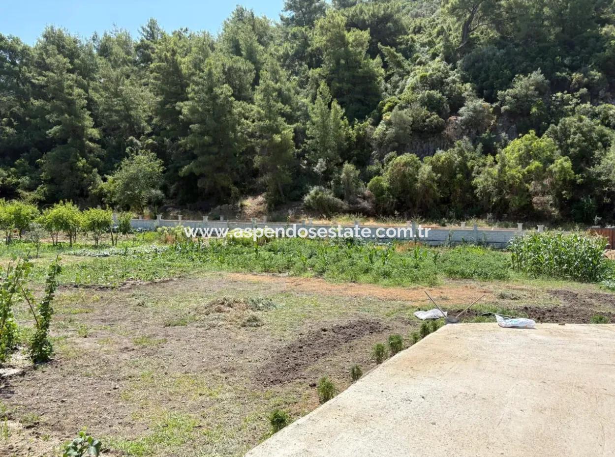 120M2 Detached Wooden House In A 2500M2 Field In Dalyan Karadağ