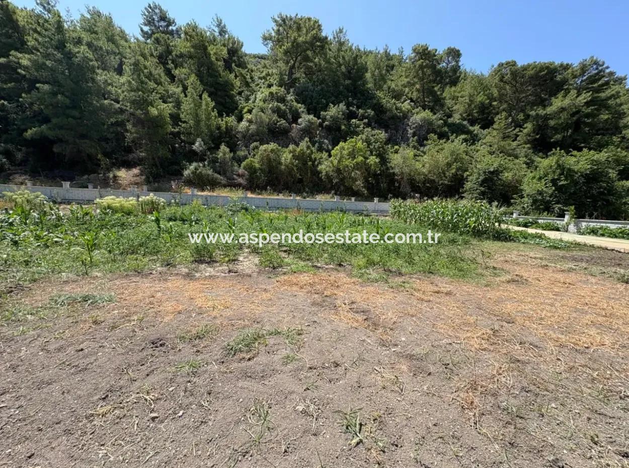 120M2 Detached Wooden House In A 2500M2 Field In Dalyan Karadağ