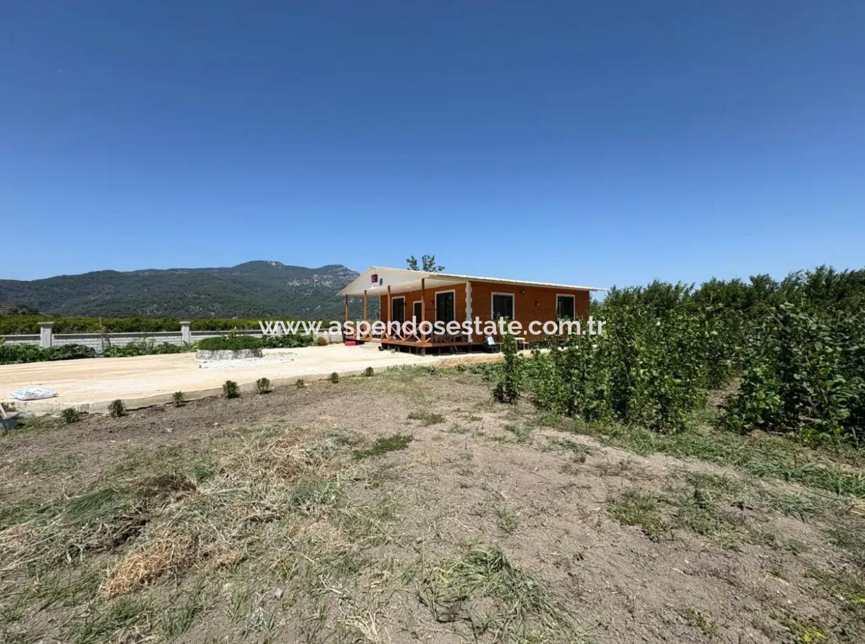 120M2 Detached Wooden House In A 2500M2 Field In Dalyan Karadağ