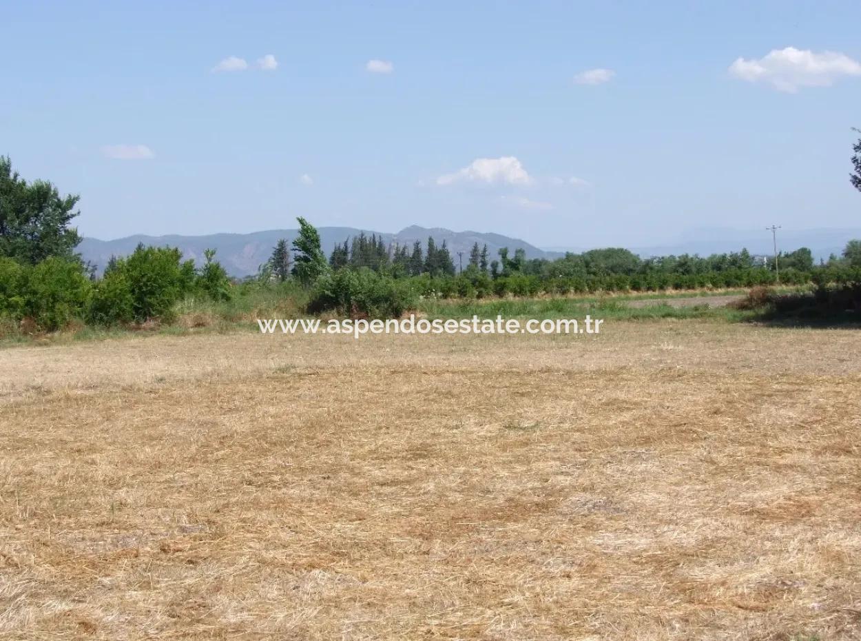 Plot For Sale On The Corner Of 540M2 In Okcular