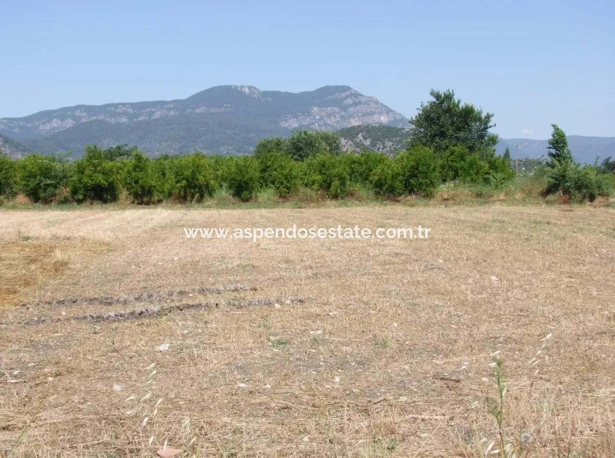 Plot For Sale On The Corner Of 540M2 In Okcular
