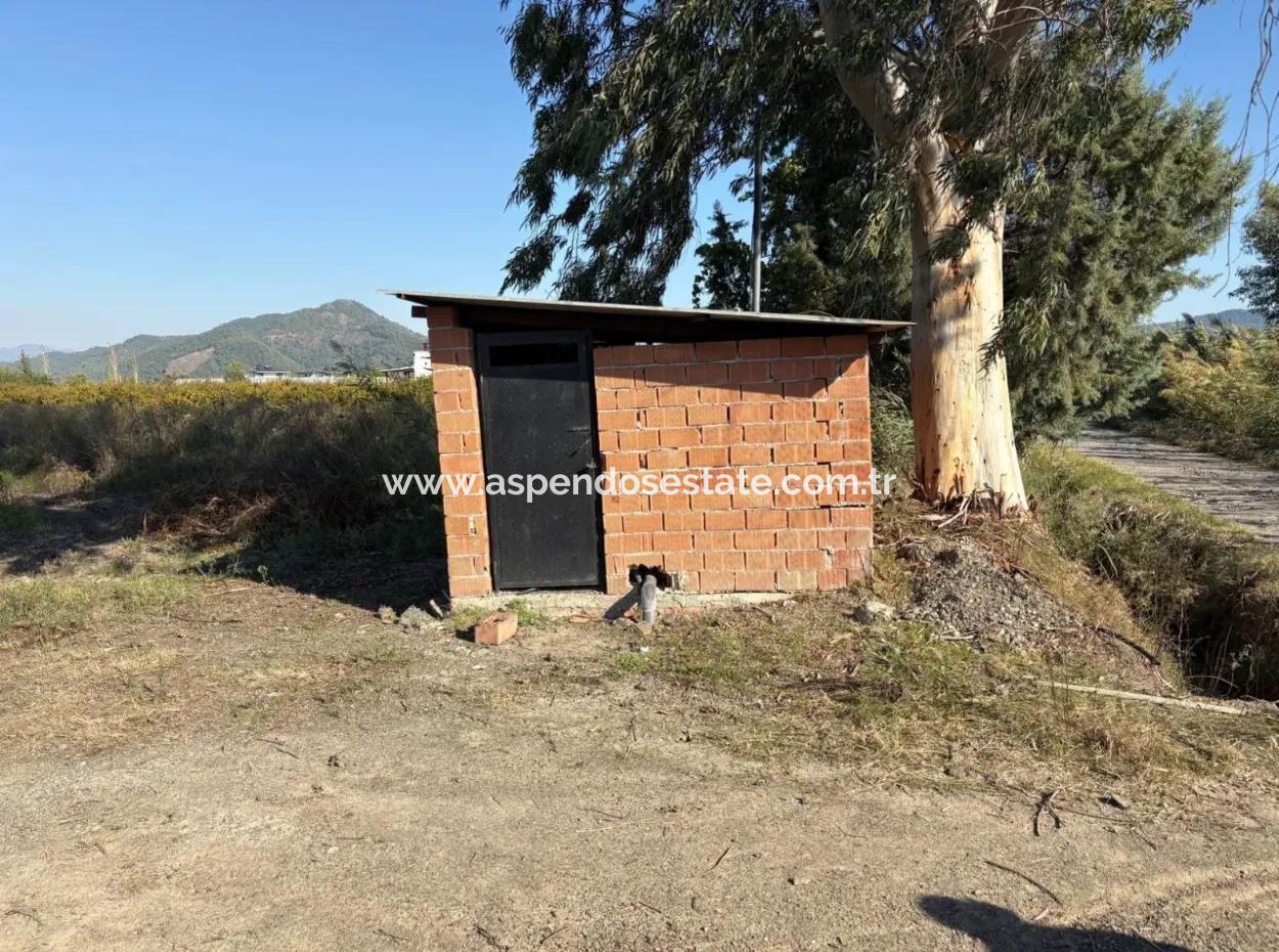 21500M2 Pomegranate Orchard For Sale In Eskiköy