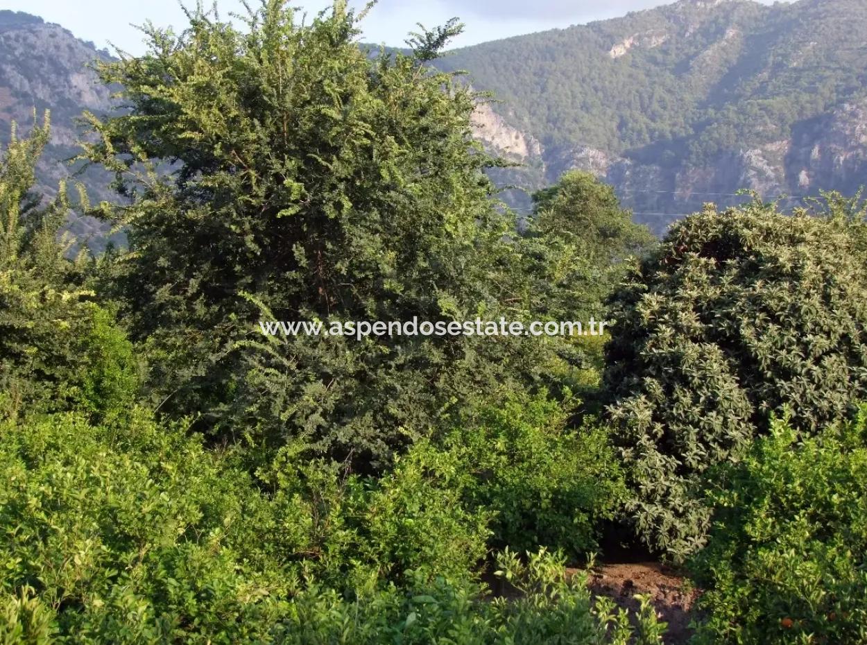 Near The Centre Of Dalyan In Dalyan Plot For Sale For Sale 987M2
