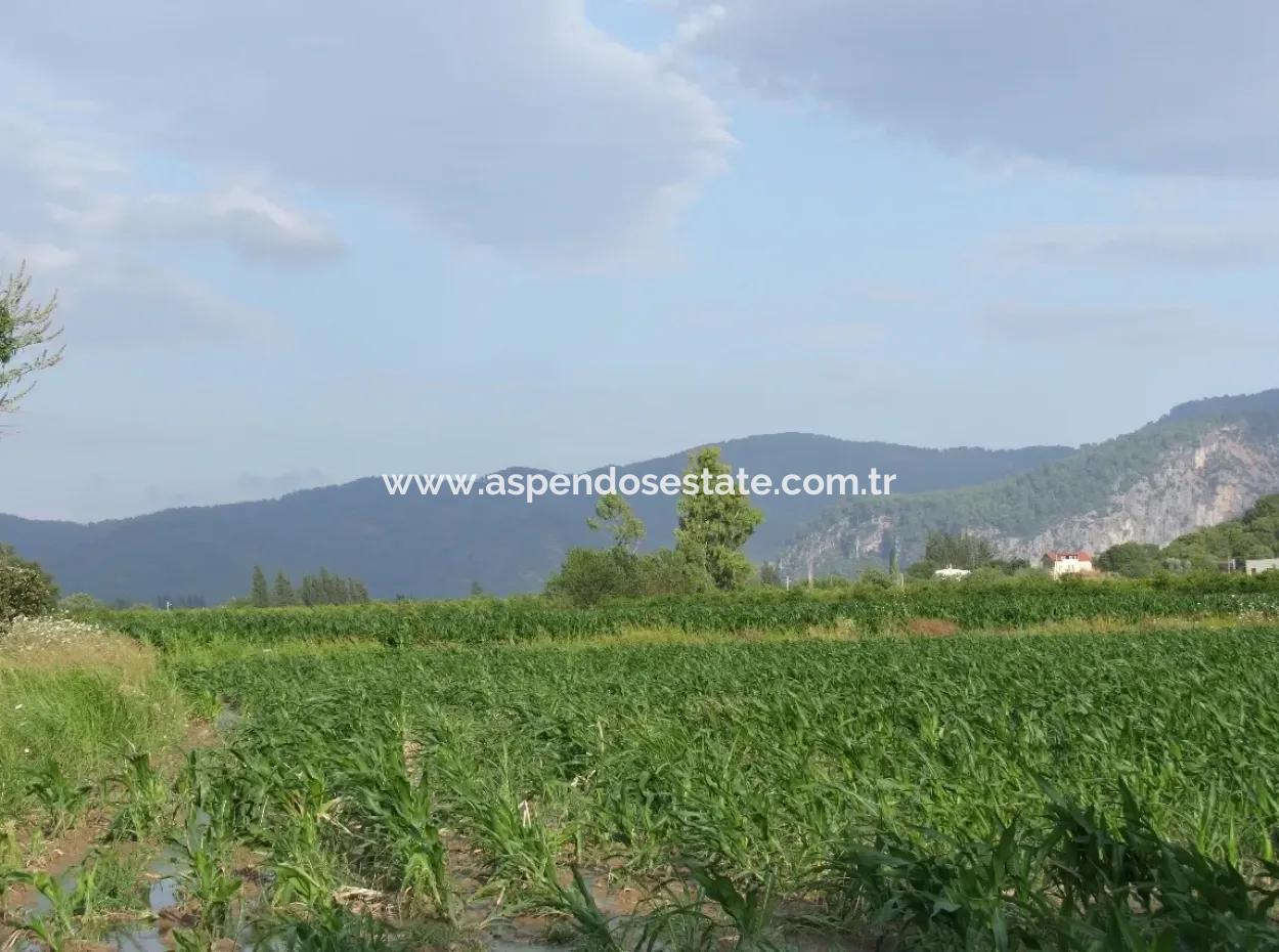 Farm For Sale Near The Centre Of Dalyan,14, 612M2 Farm For Sale