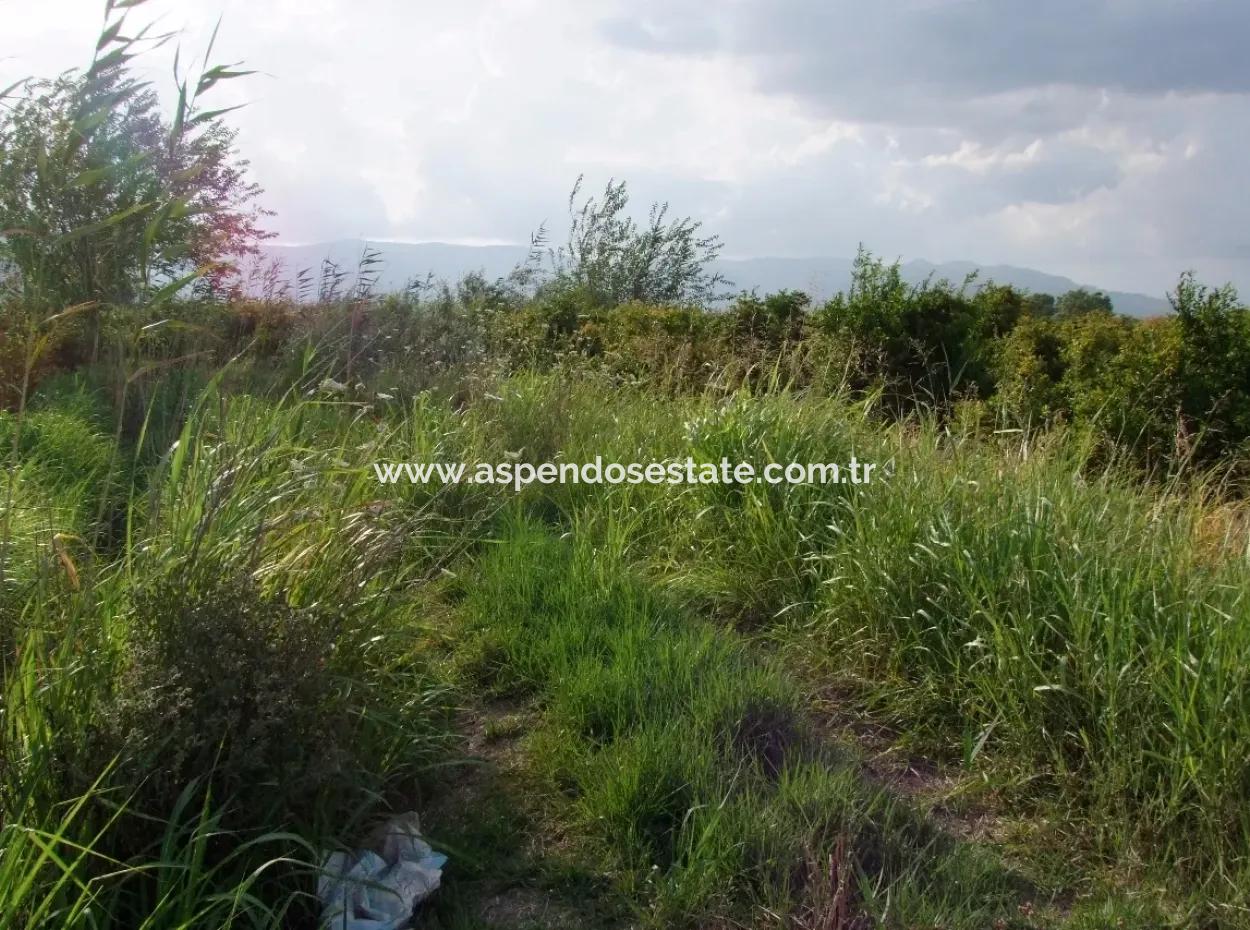 Farm For Sale Near The Centre Of Dalyan,14, 612M2 Farm For Sale