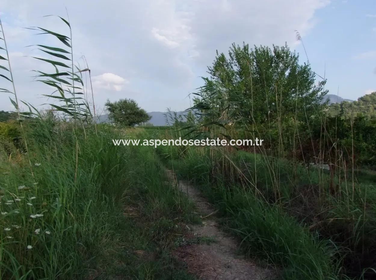 Farm For Sale Near The Centre Of Dalyan,14, 612M2 Farm For Sale