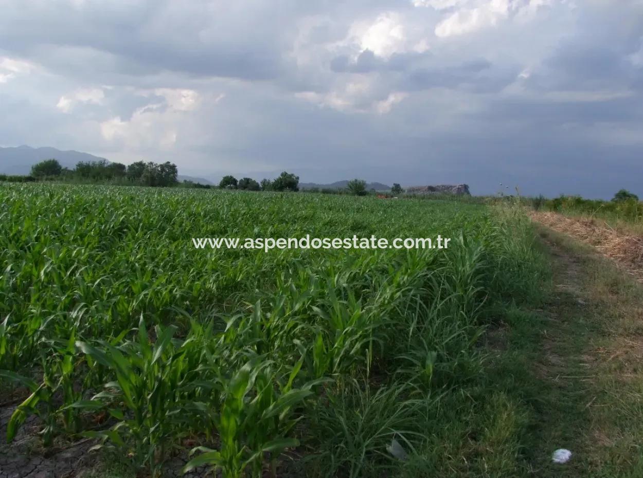 Farm For Sale Near The Centre Of Dalyan,14, 612M2 Farm For Sale
