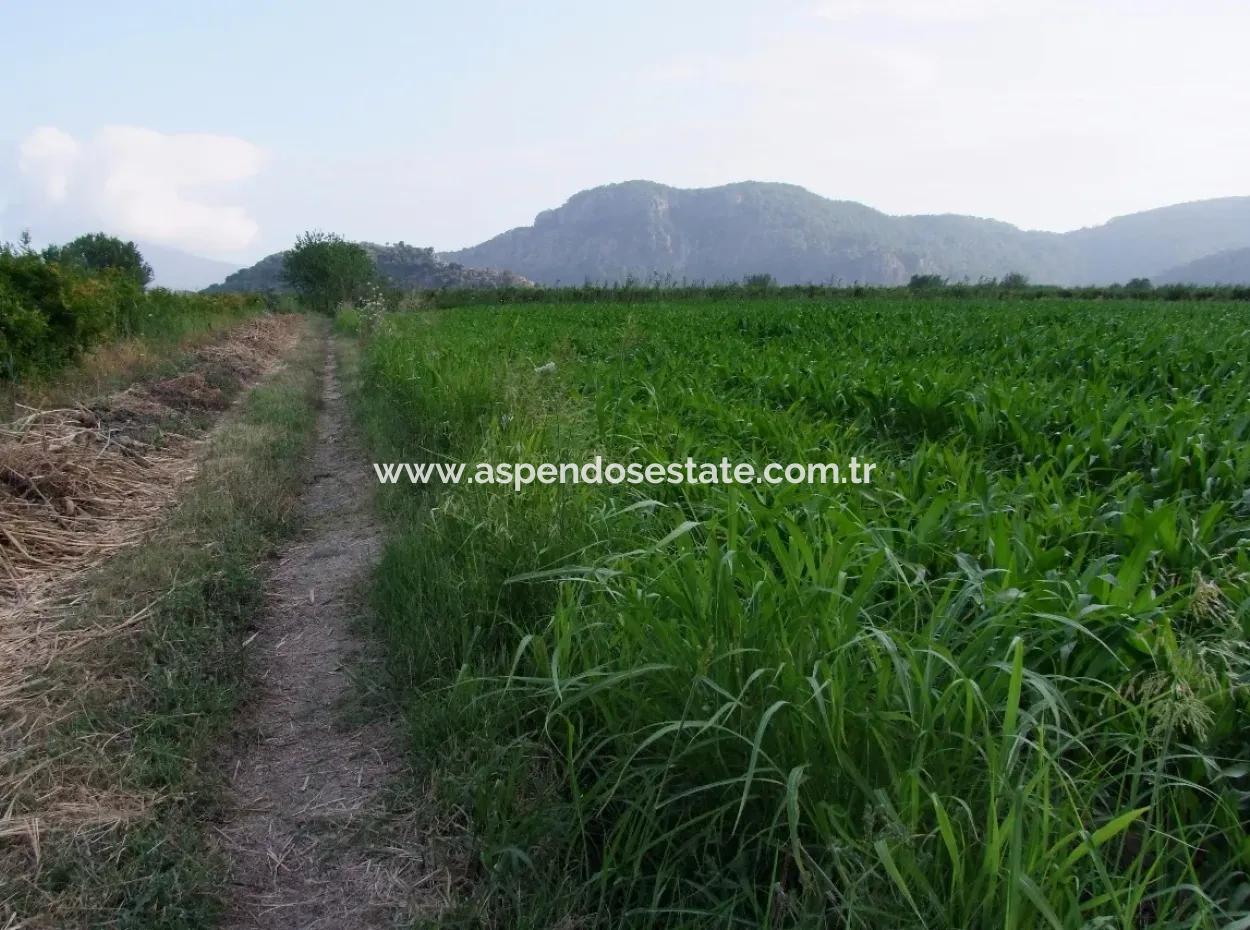 Farm For Sale Near The Centre Of Dalyan,14, 612M2 Farm For Sale
