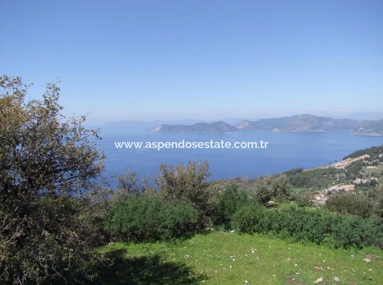 Land For Sale In Faralya With Full Sea View For Sale