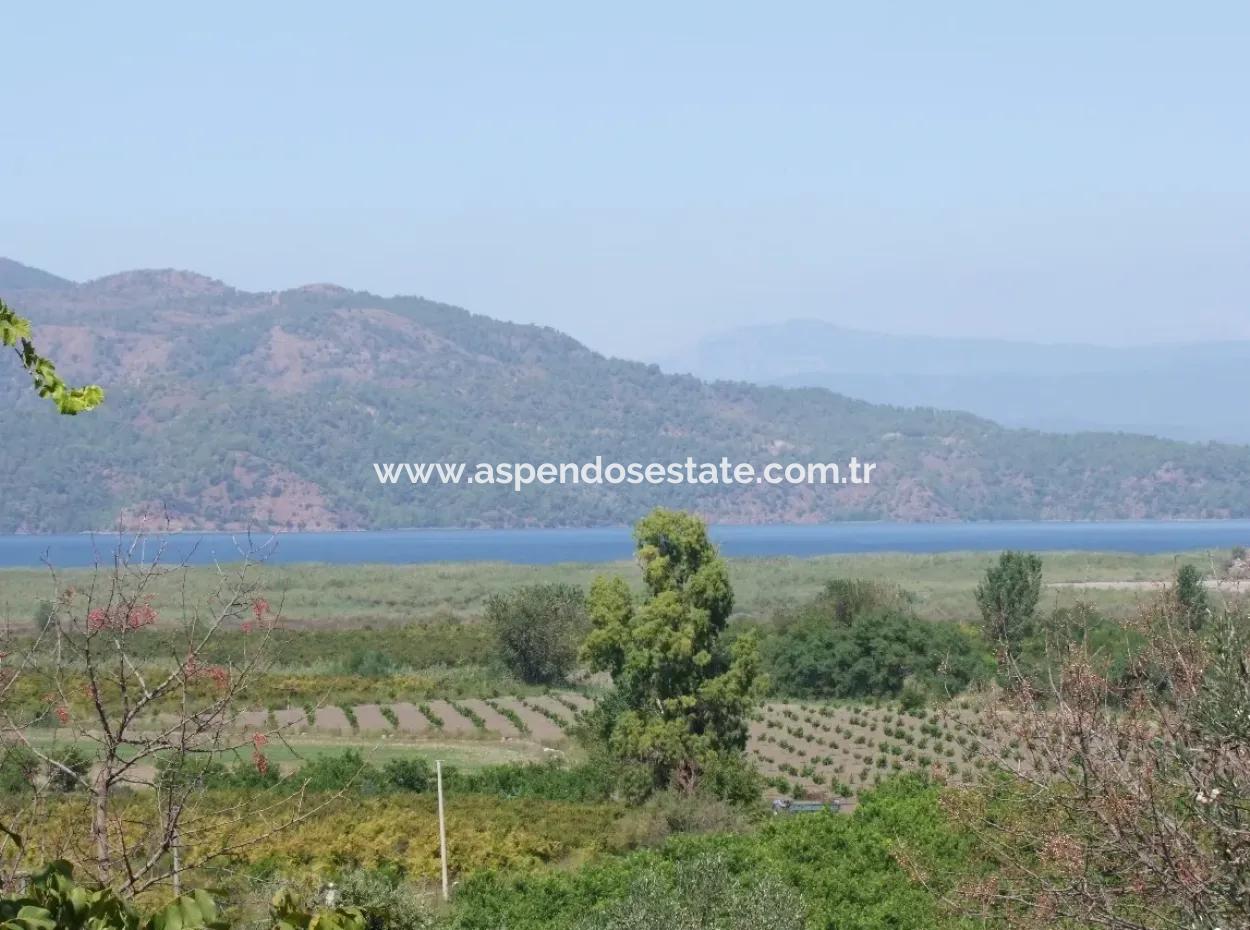 For Sale Farm For Sale In Dalyan 73410M2