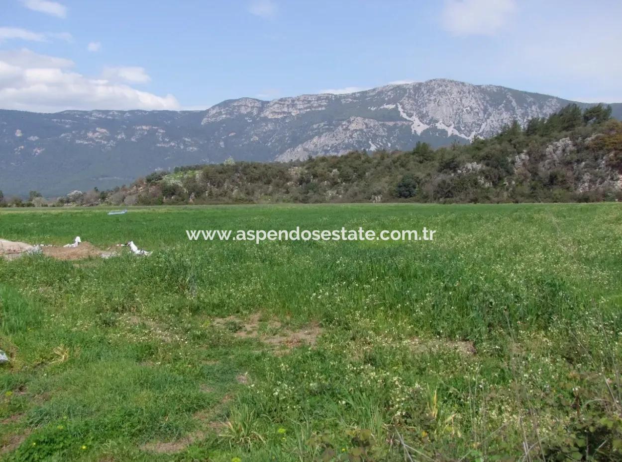 In Akyaka For Sale: Land For Sale Farm For Sale A Farm Near The Sea Of Ars, Yatirimlik 21625M2