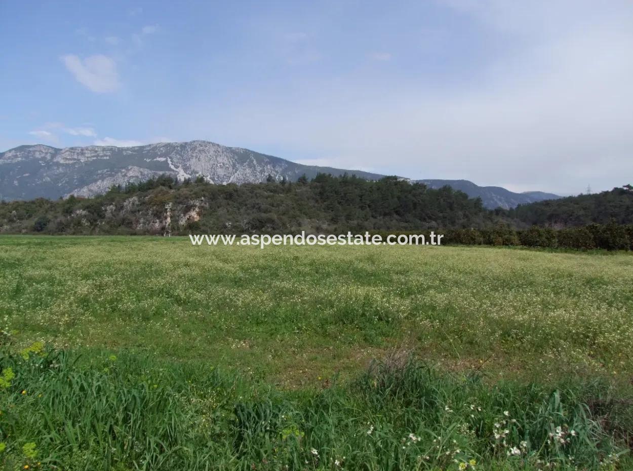 In Akyaka For Sale: Land For Sale Farm For Sale A Farm Near The Sea Of Ars, Yatirimlik 21625M2