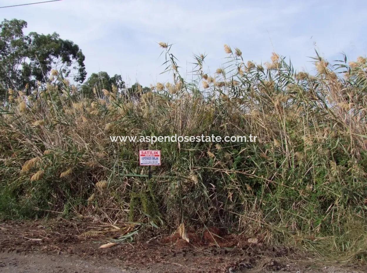 For Sale Land In Dalyan For Sale Dalyan Channel Zero
