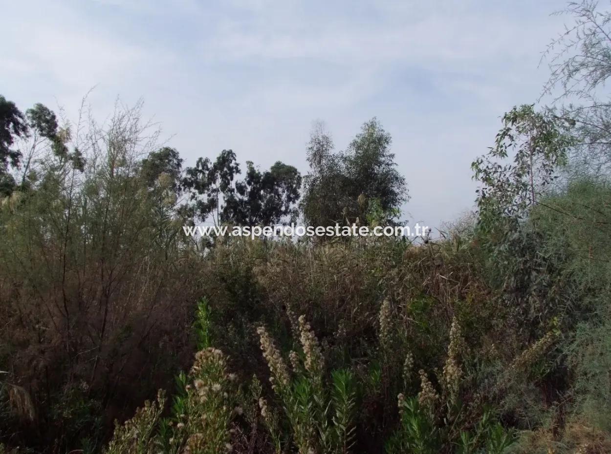 For Sale Land In Dalyan For Sale Dalyan Channel Zero