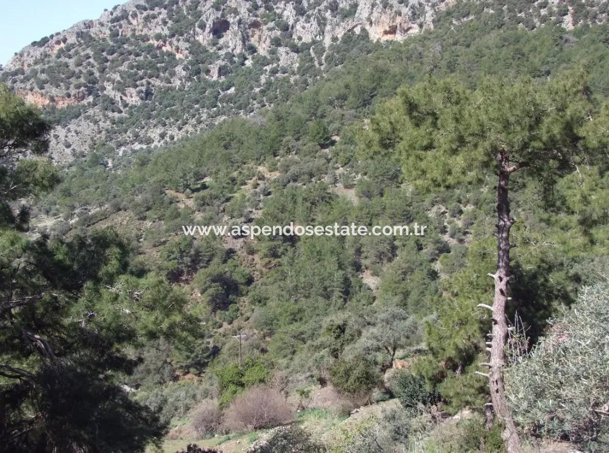 Land  For Sale With Sea View For Sale In Gokbel