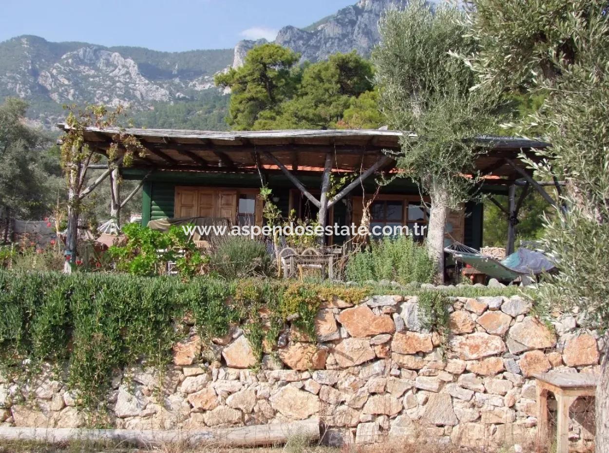 Beachfront Bungalow For Sale In Akbuk By The Sea In A Plot Of 800M2 Villa For Sale Turnalı