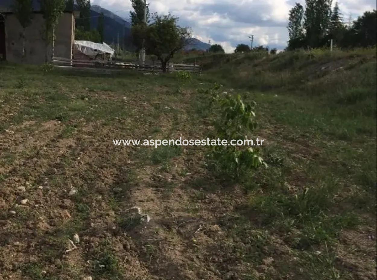 For Sale In St John's, Stabby Plot For Sale Zero In On The Path 1562M2