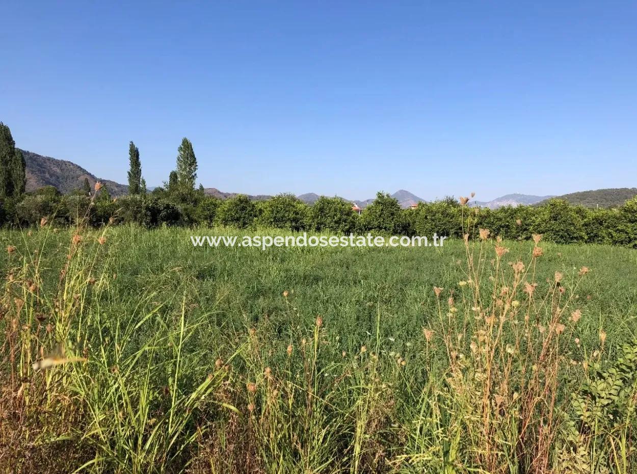 Land For Sale In The Center 891M2 Land For Sale
