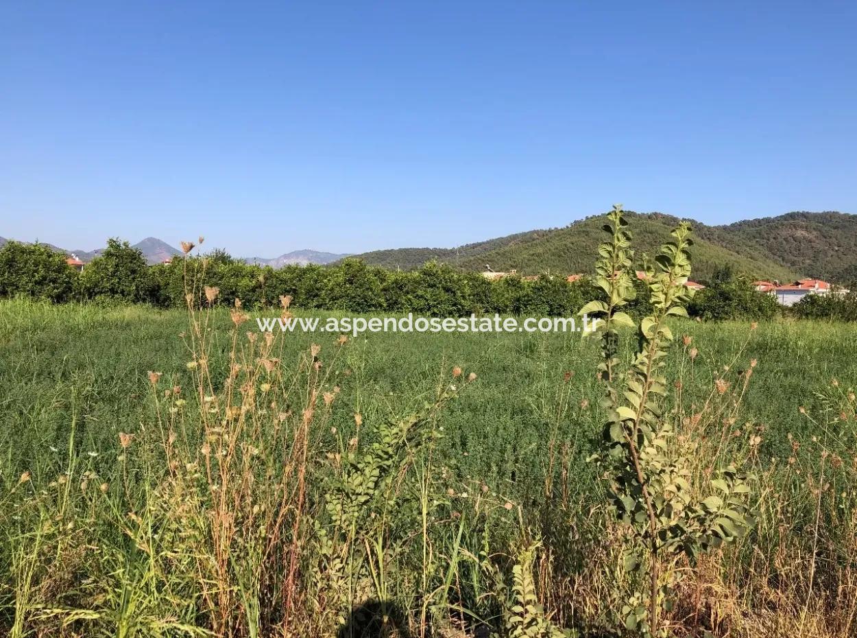 Land For Sale In The Center 891M2 Land For Sale