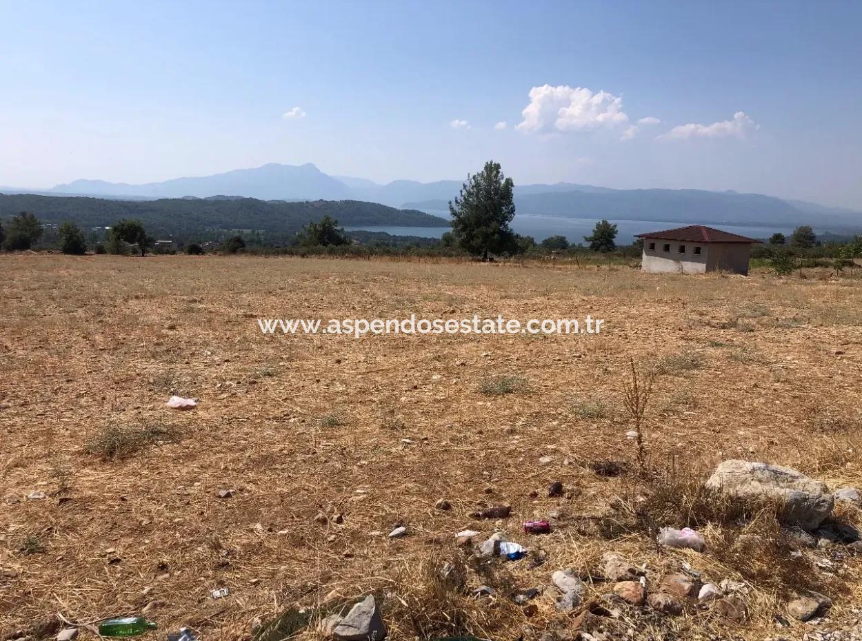 11.227M2 Land For Sale With Lake Views In Köyceğiz Zeytinalanı