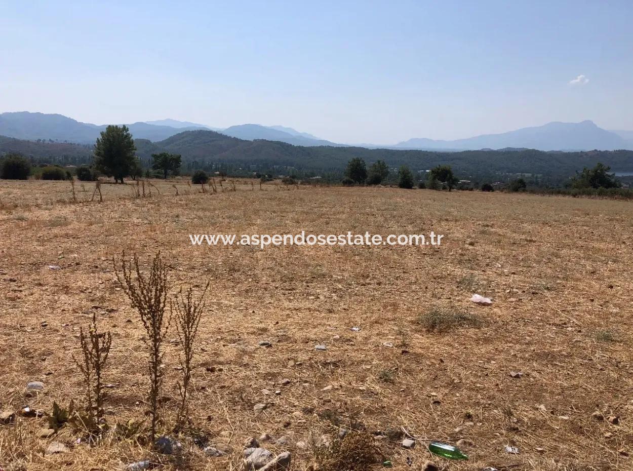 11.227M2 Land For Sale With Lake Views In Köyceğiz Zeytinalanı