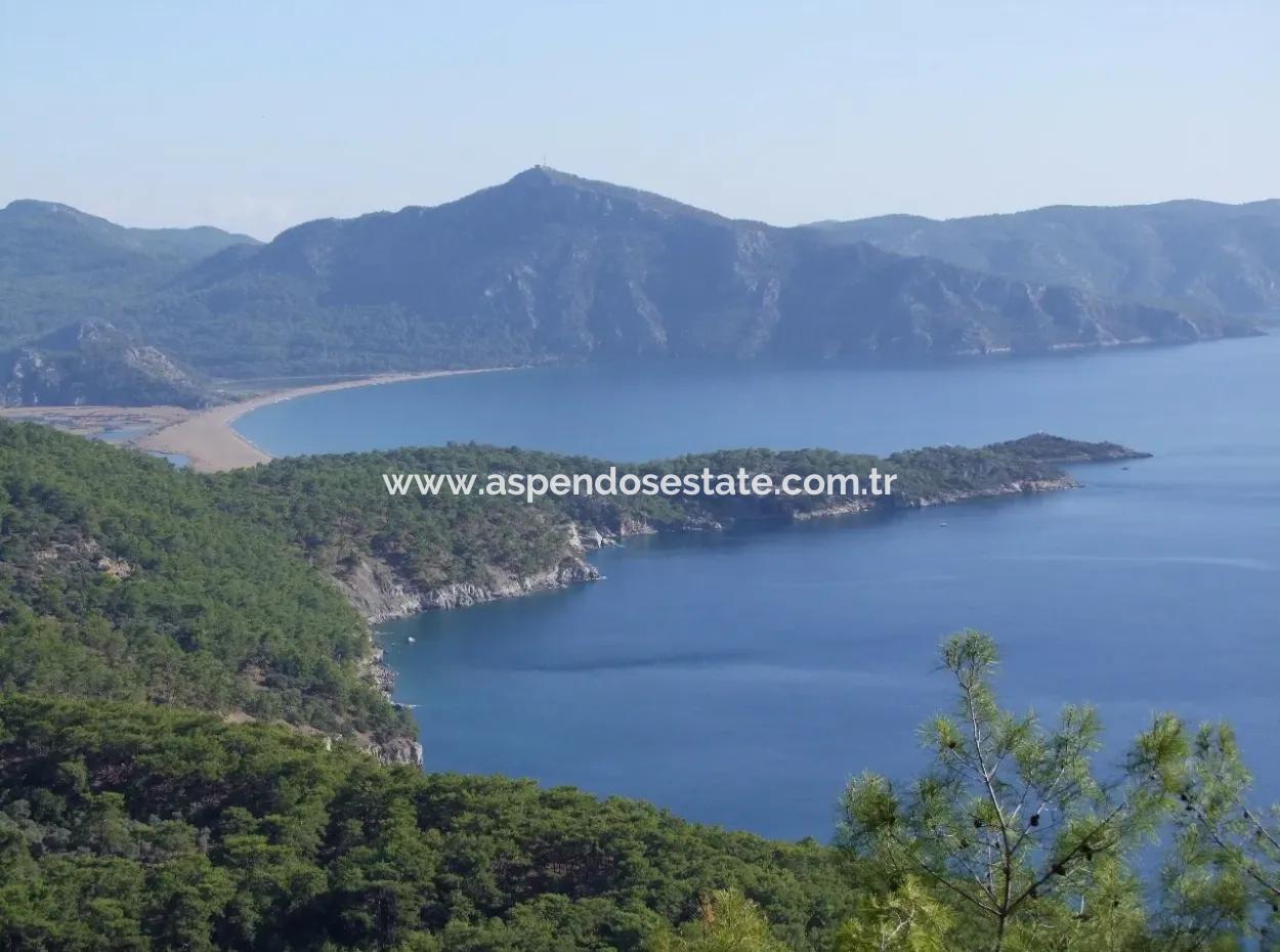 Real Estate Bargain Plot For Sale With Sea Views In Çandır Call In Ekincik