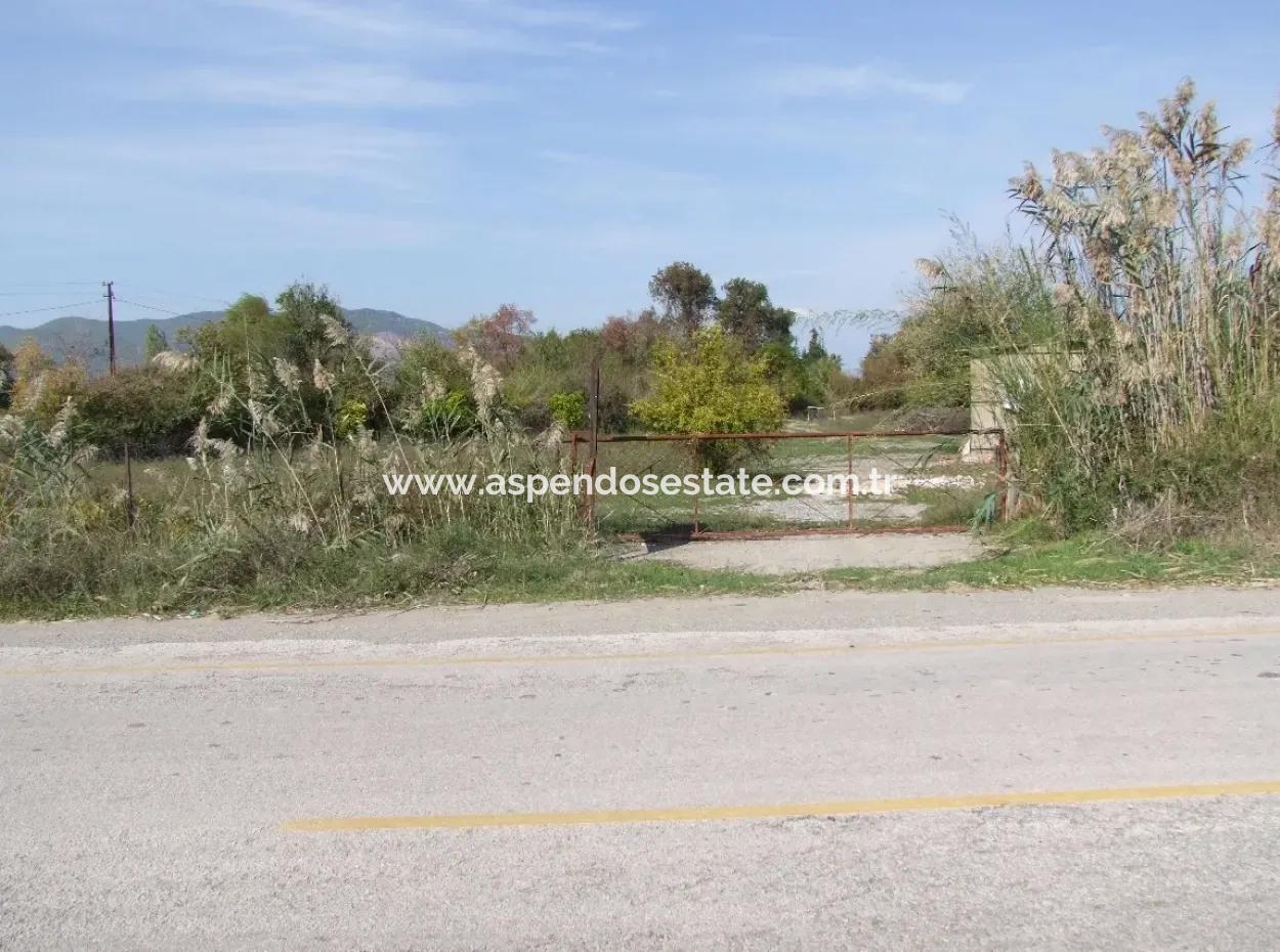 Land For Sale In Guzelyurt Land For Sale Zero 5515M2 Land For Sale On The Main Road