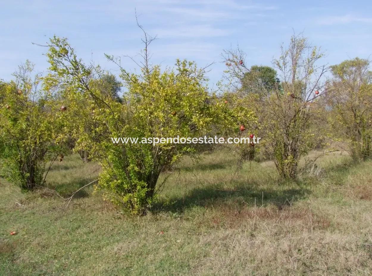 Güzelyurt Land For Sale Village Built 6670M2 Land For Sale