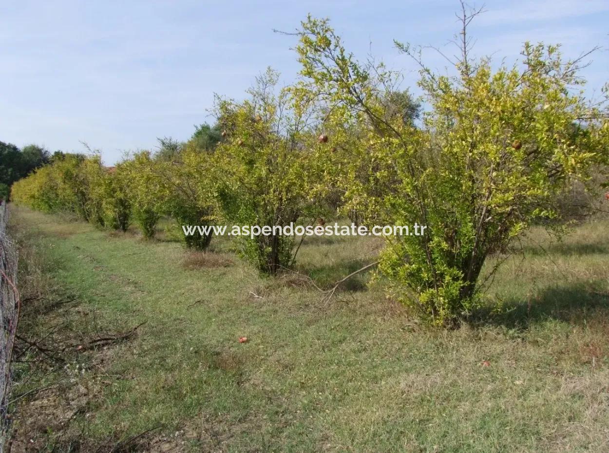 Güzelyurt Land For Sale Village Built 6670M2 Land For Sale