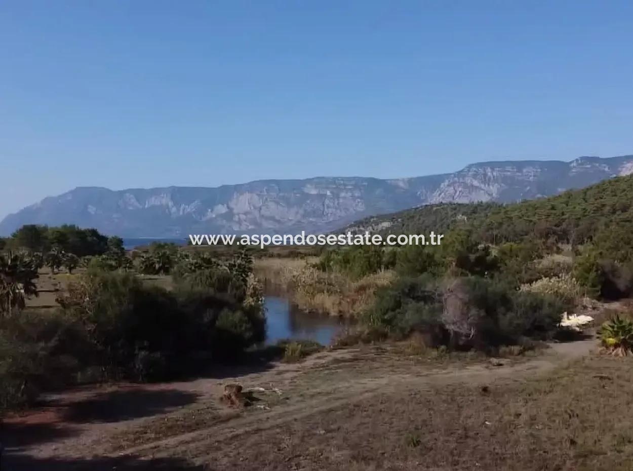 Land Land For Sale In Çamlıda Marmaris Çamlıda Sea View 11720M2 Land For Sale