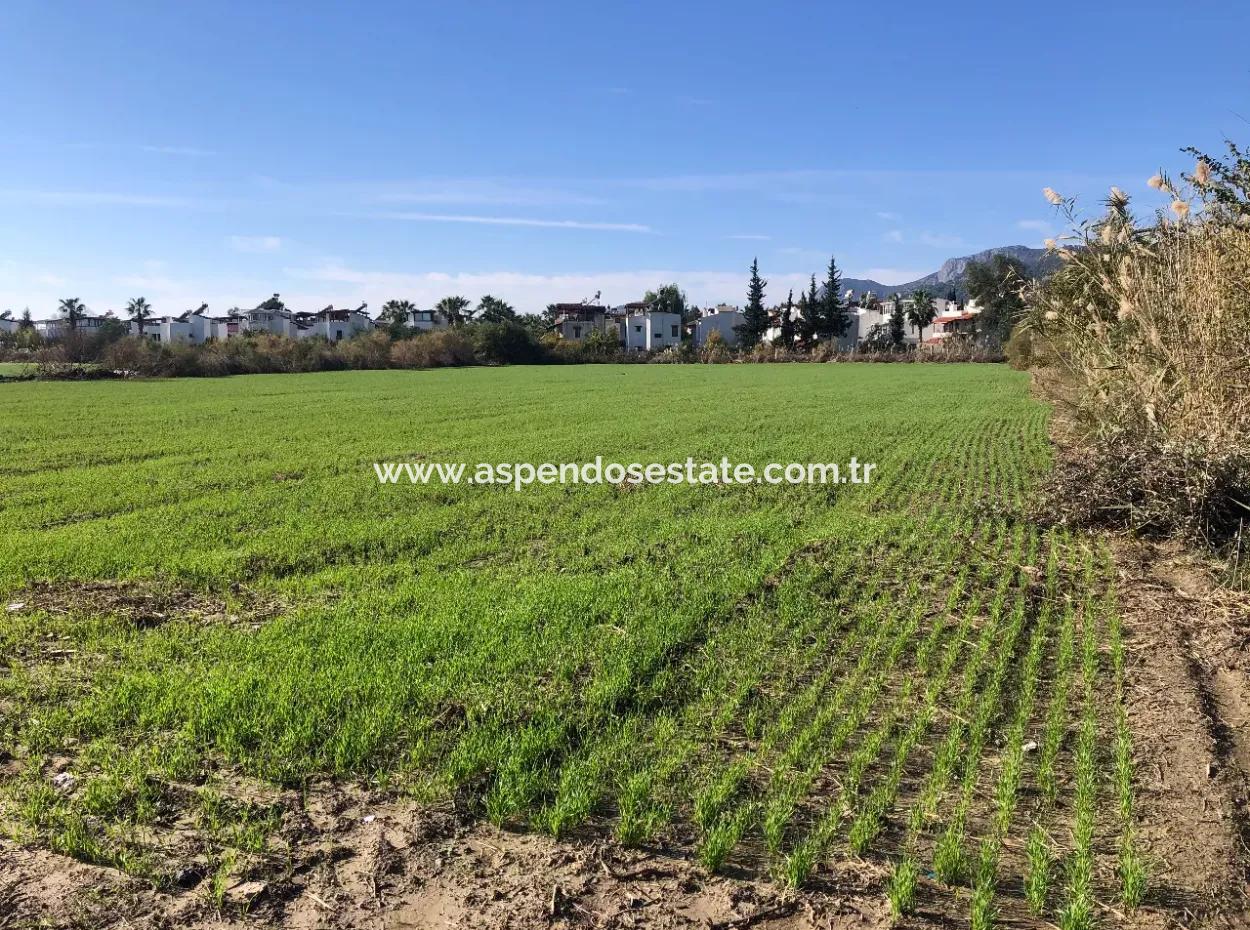 Land For Sale In Sarıgermede 30,000M2 Land For Sale With Sea View