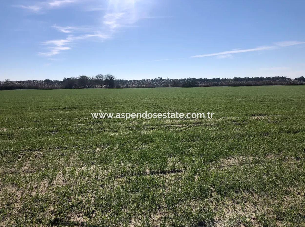 Land For Sale In Sarıgermede 30,000M2 Land For Sale With Sea View