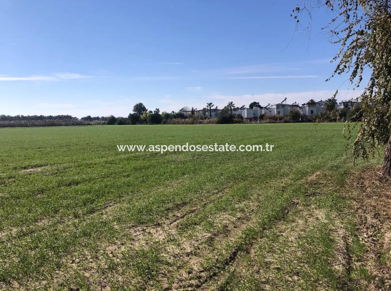 Land For Sale In Sarıgermede 30,000M2 Land For Sale With Sea View