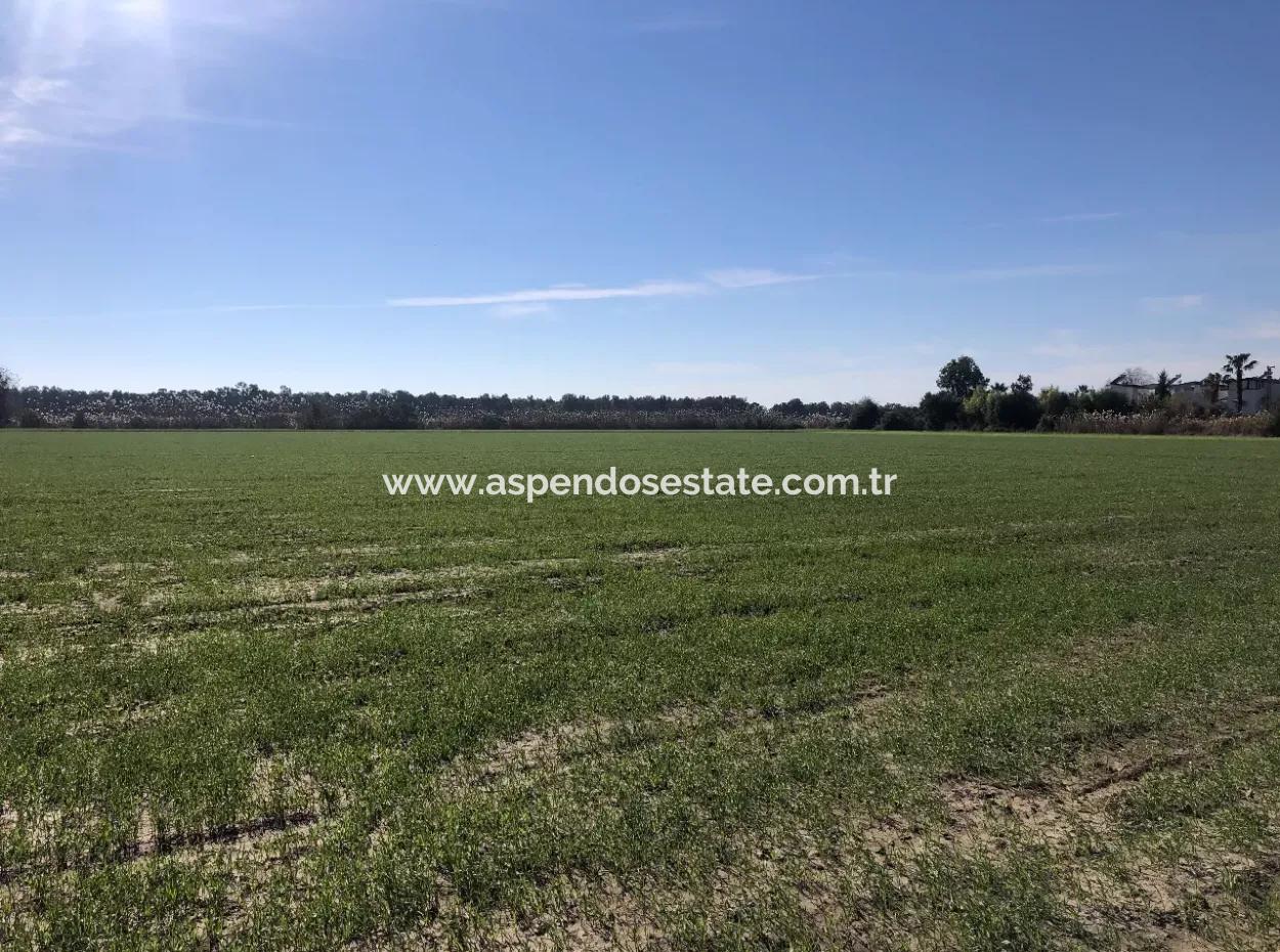 Land For Sale In Sarıgermede 30,000M2 Land For Sale With Sea View