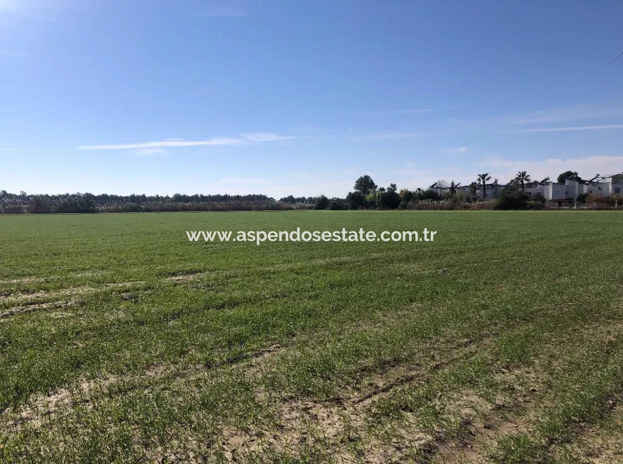 Land For Sale In Sarıgermede 30,000M2 Land For Sale With Sea View