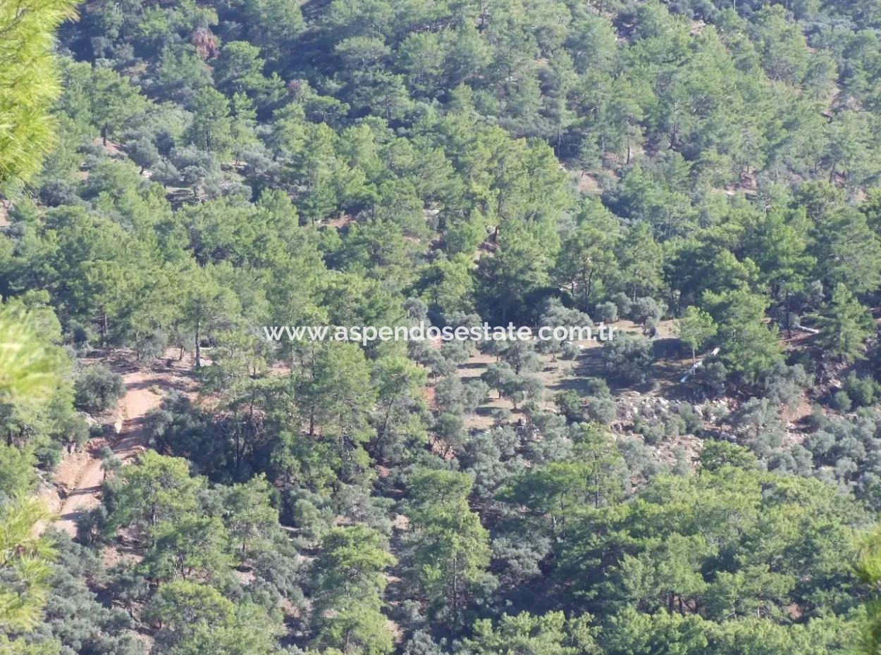 Real Estate Bargain Plot For Sale With Sea Views In Çandır Call In Ekincik