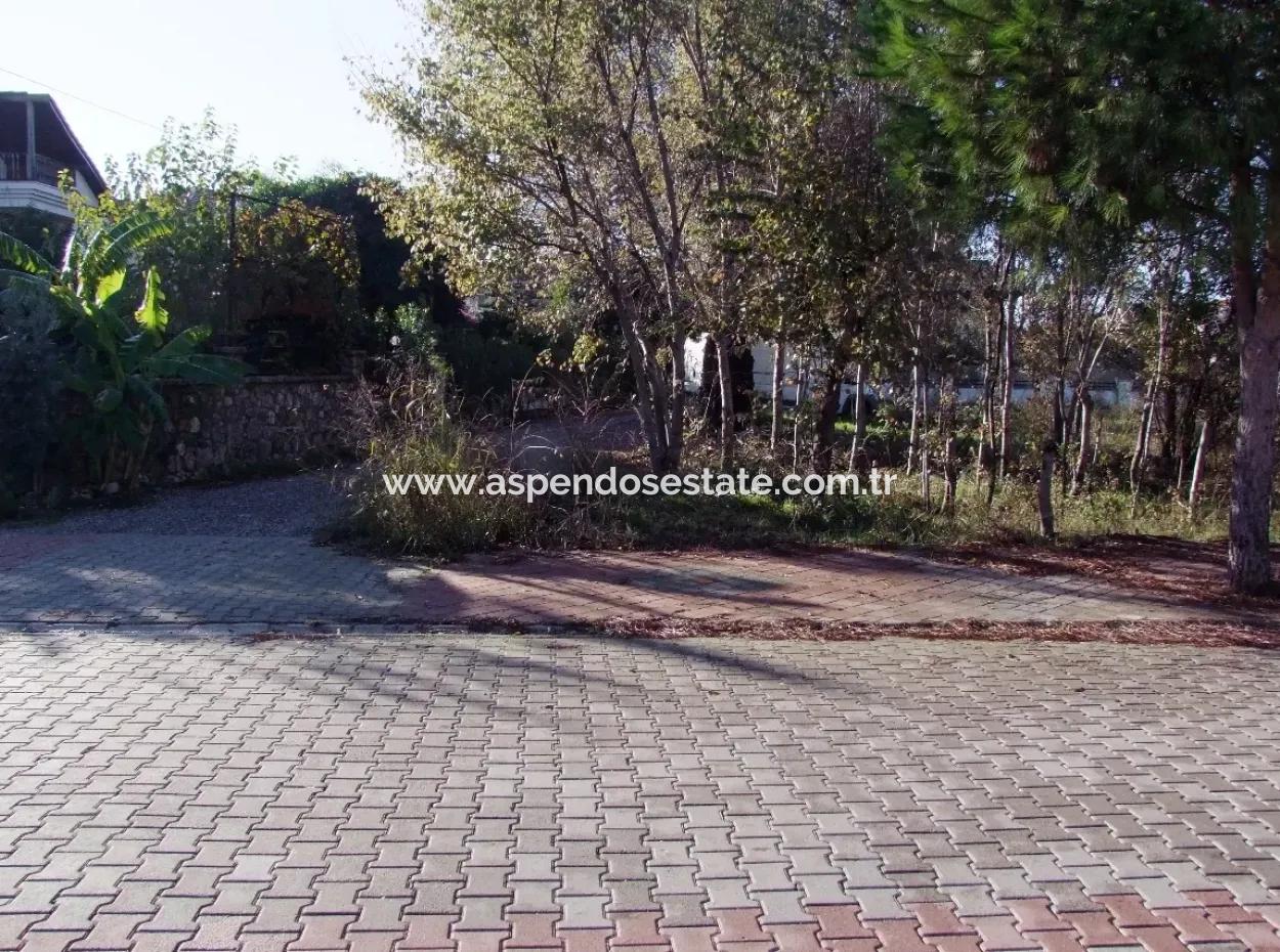 For Sale Plot For Sale Plot For Sale In Dalyan Gurpinar 1006M2 At The Corner