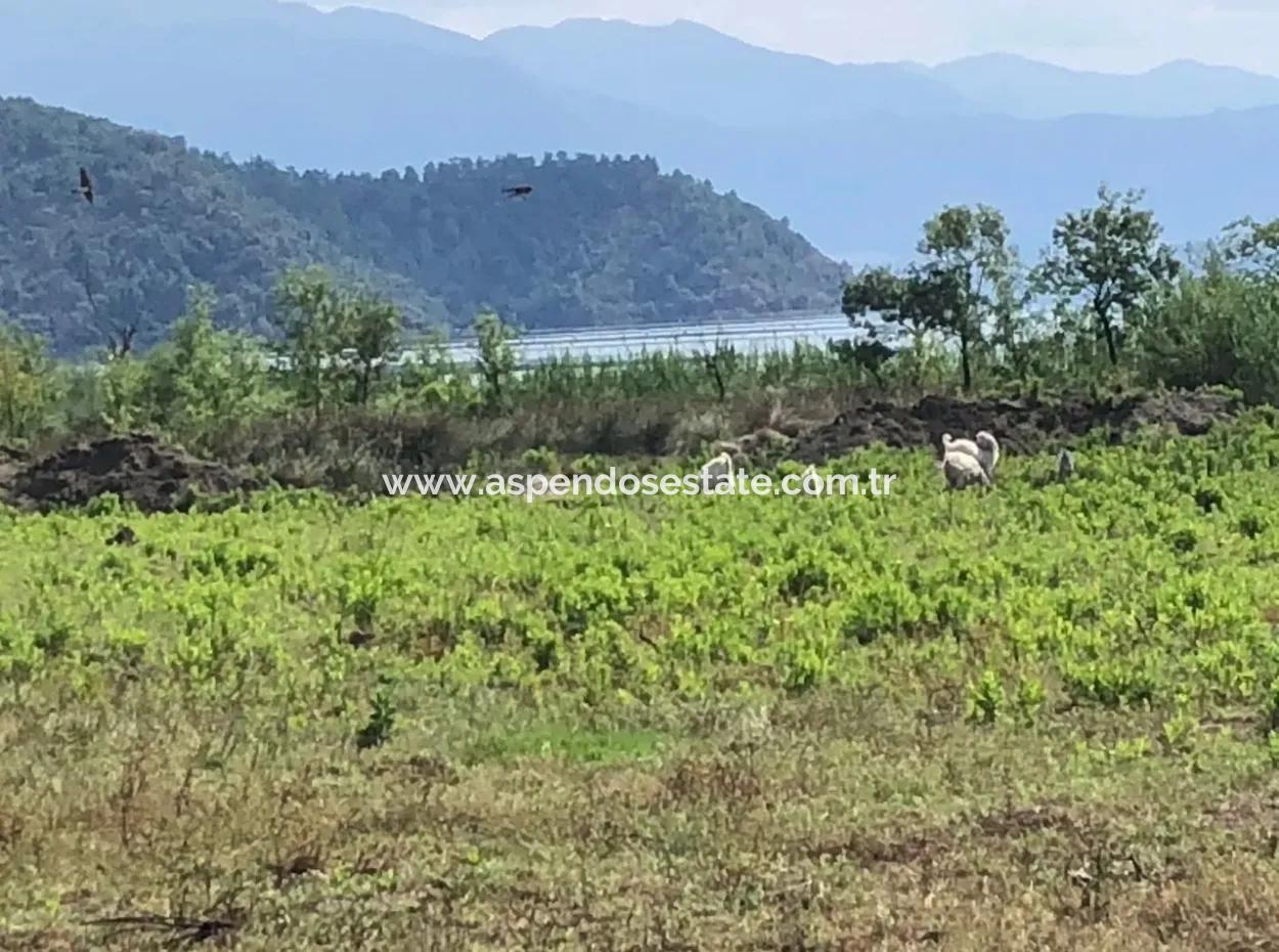 Sultaniye Sultaniye Koycegiz Lake Plot For Sale For Sale In By The Sea