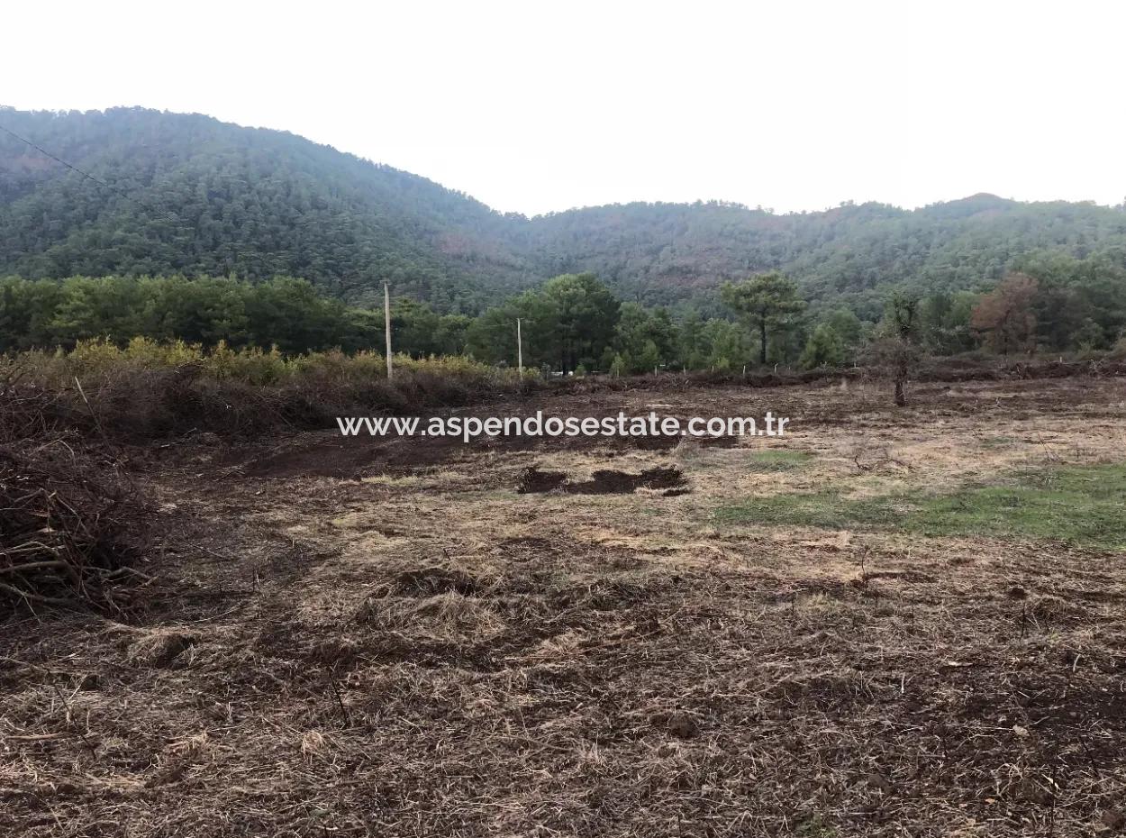 Sultaniye Land For Sale Near 10577M2 Lake Land For Sale