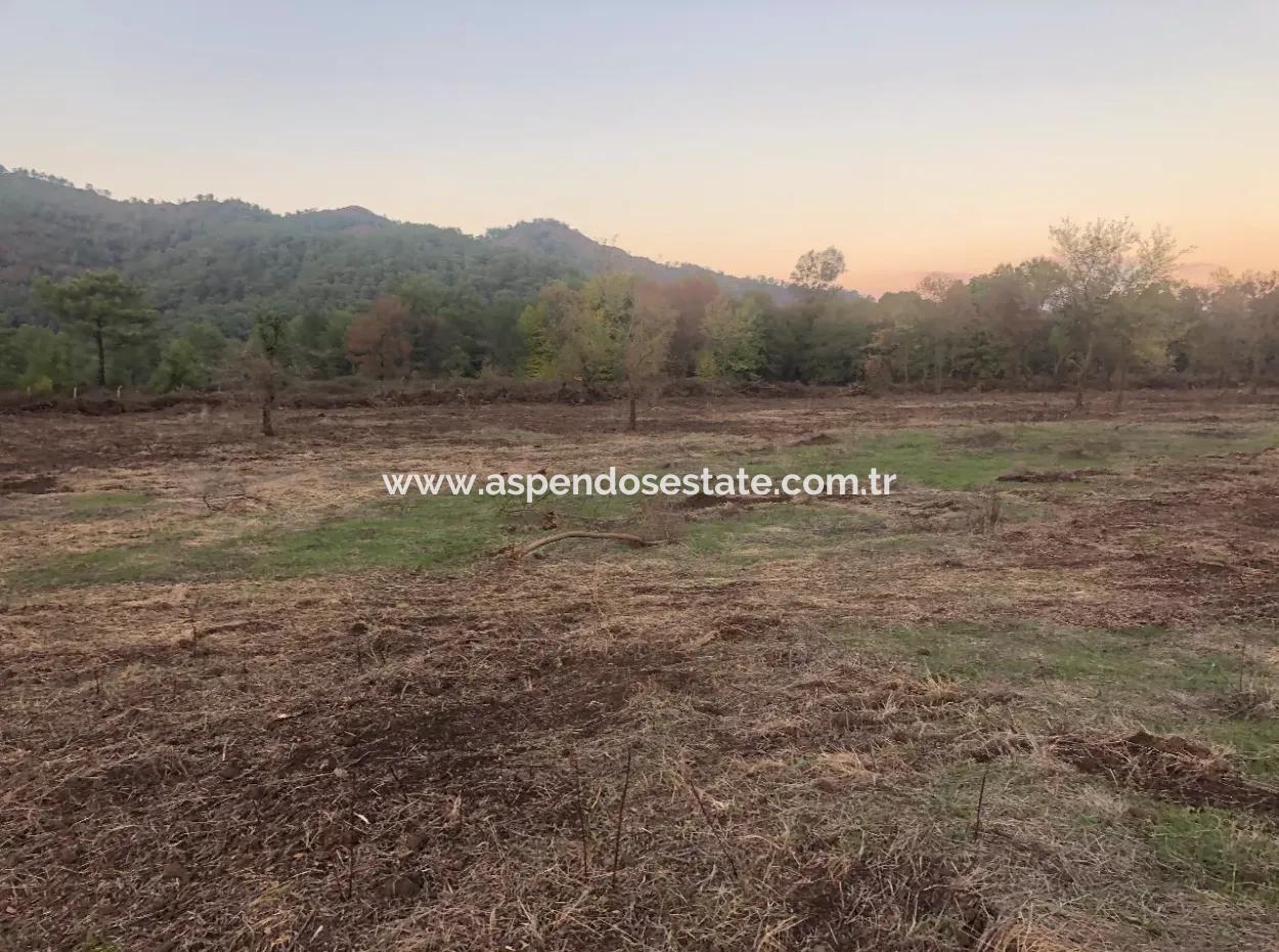 Sultaniye Land For Sale Near 10577M2 Lake Land For Sale