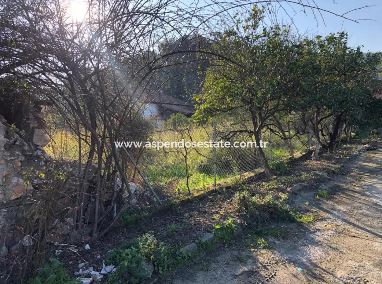777M2 Land For Sale In Ula Sarayyanı