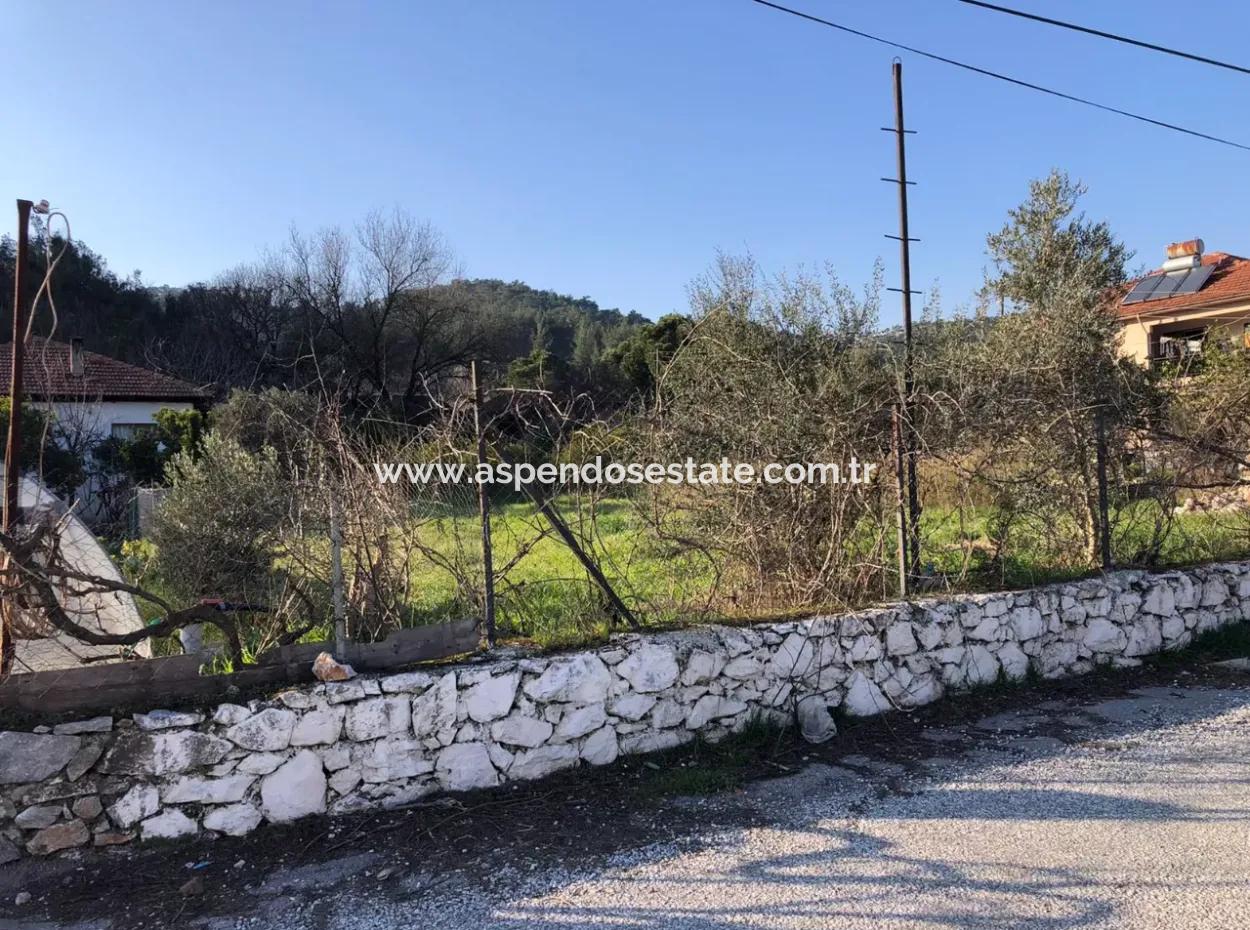 777M2 Land For Sale In Ula Sarayyanı