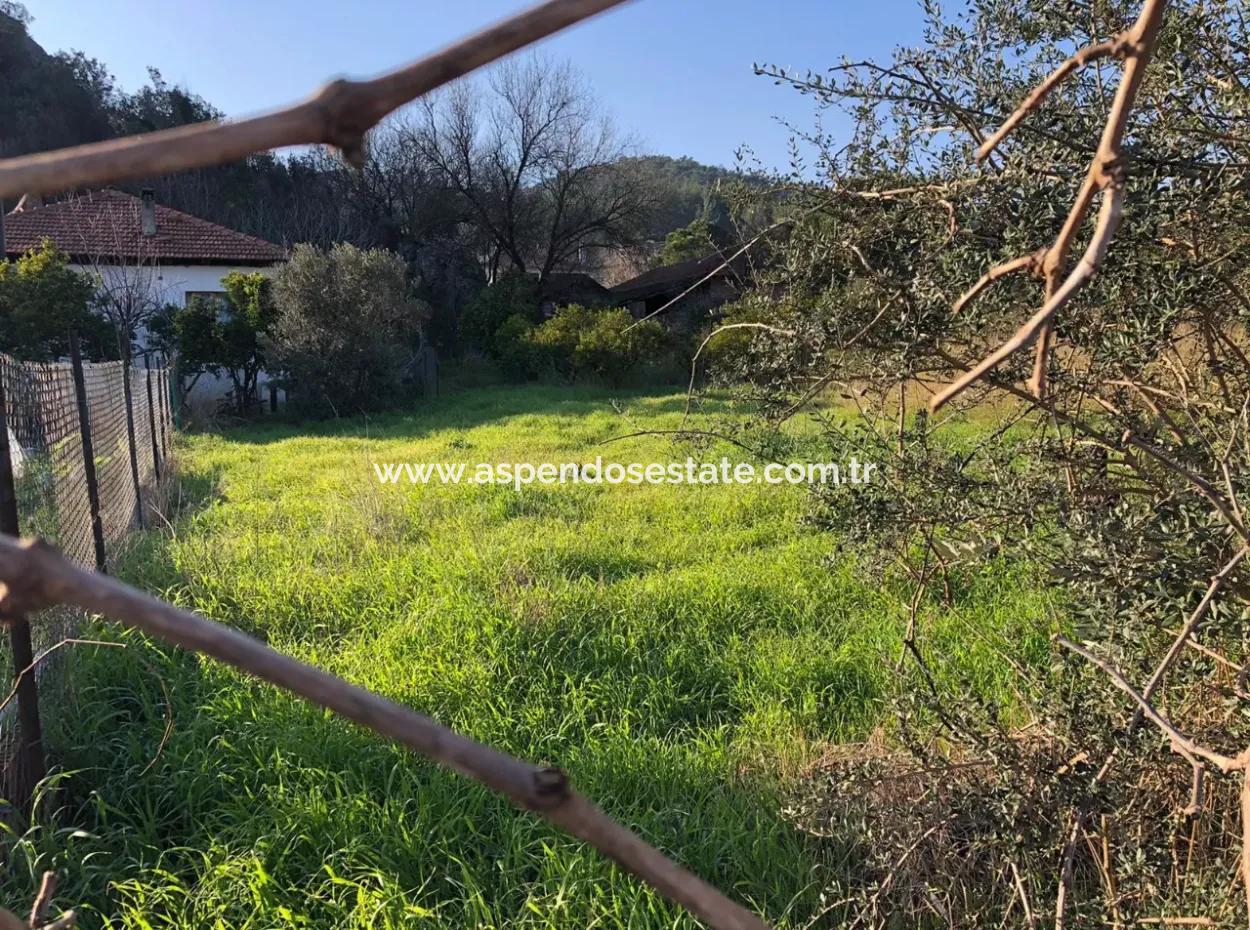 777M2 Land For Sale In Ula Sarayyanı