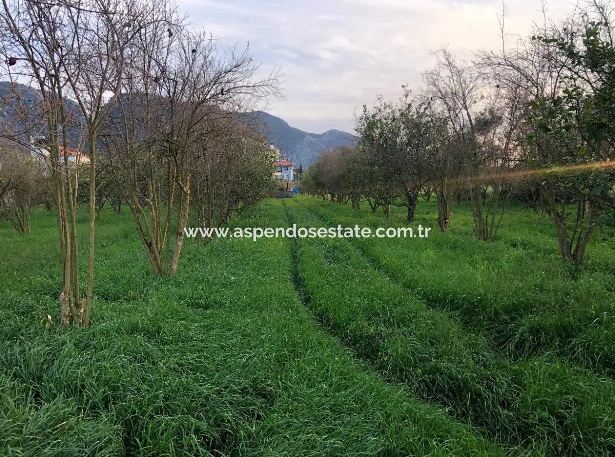 In Okçular Land For Sale 4707M2 Land For Sale