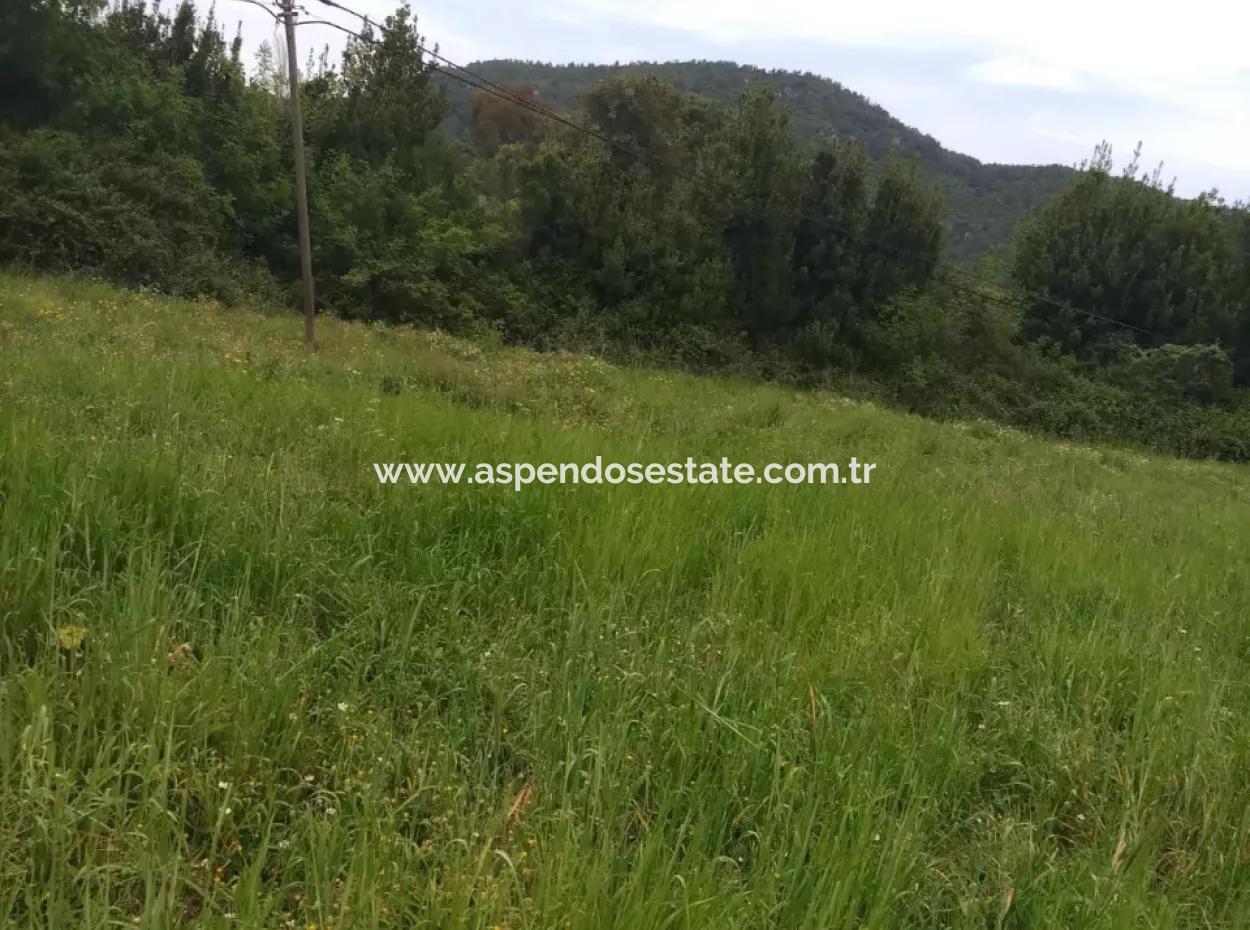 Land For Sale In Çamlida