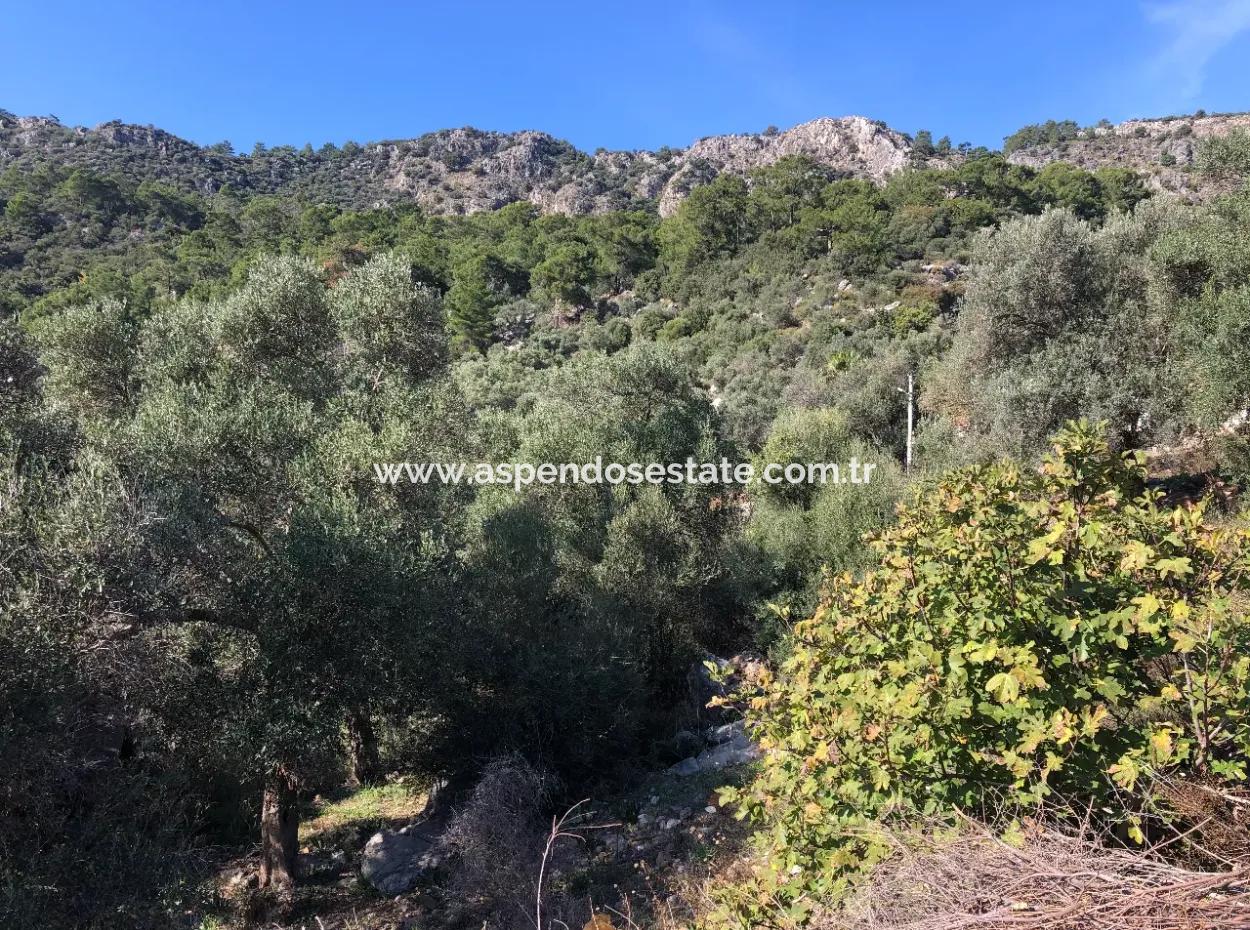 Land For Sale With Sea View Of Fevziye