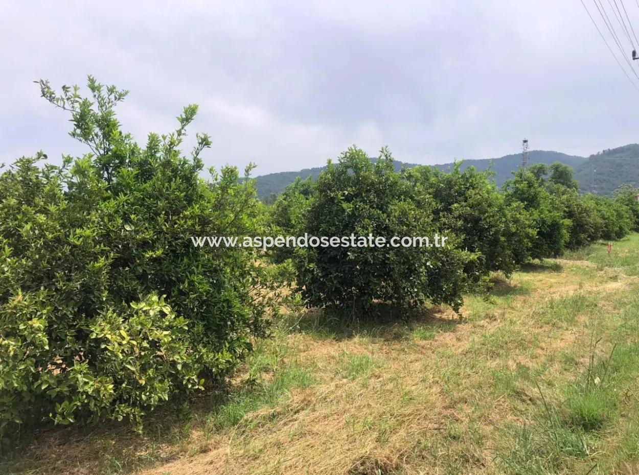 Land For Sale In Sourliyurtda 1085M2