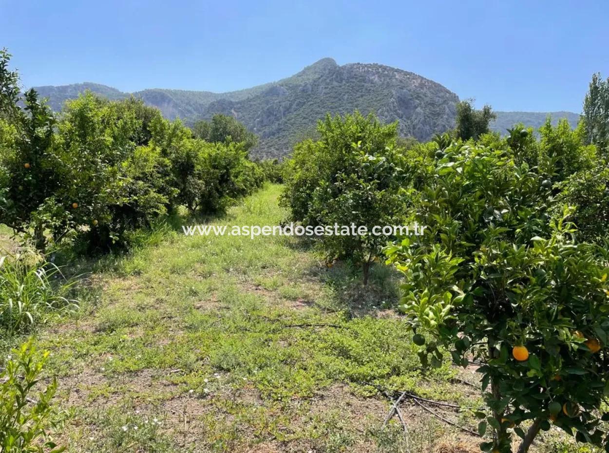 19-Room Hotel For Sale In 7,500 M2 Plot In Dalyanda