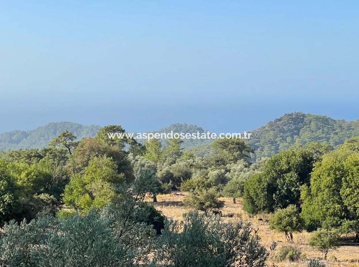 2620M2 Land Field For Sale With Sea View Of Çandir