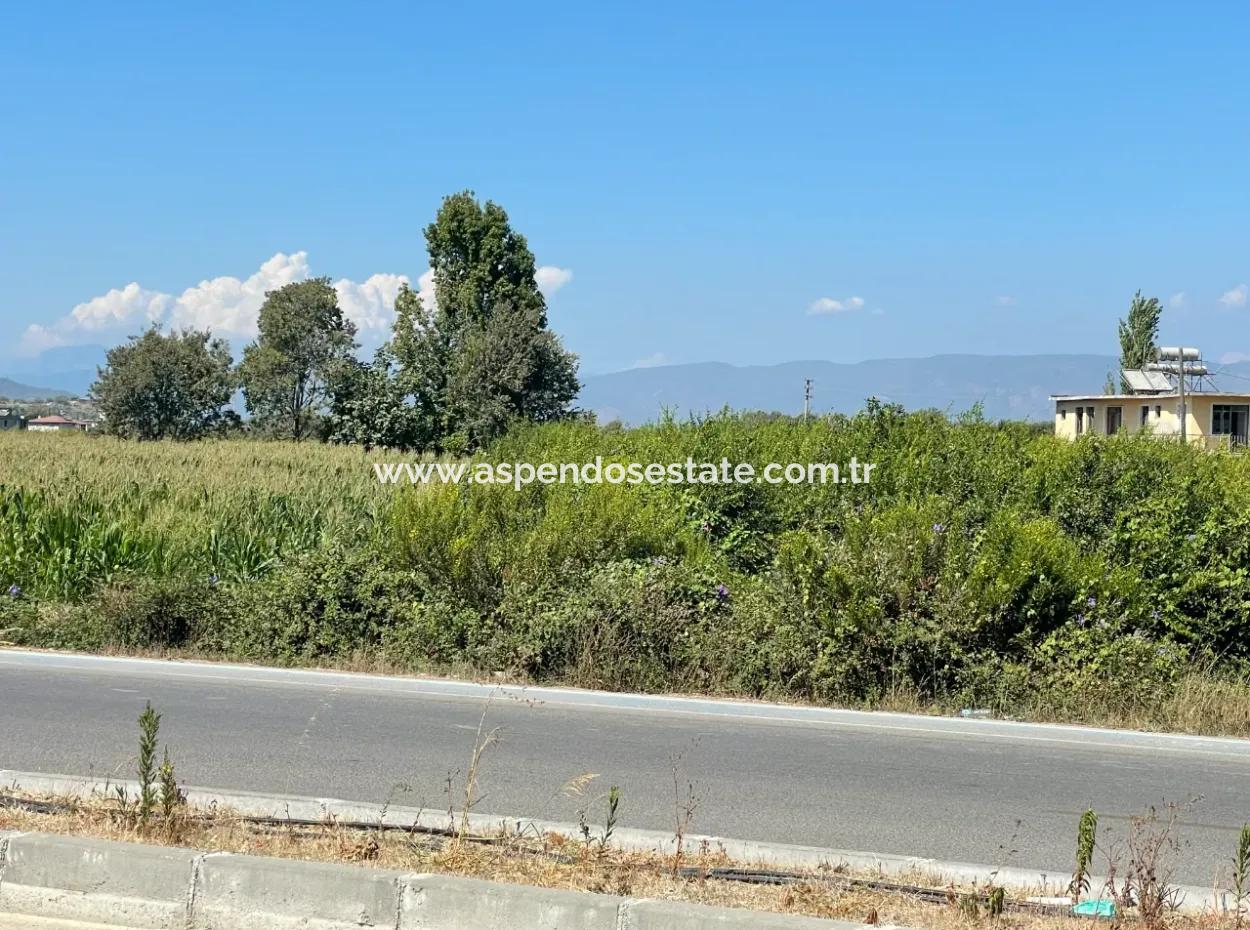 Dalyan Main Road Zero Land For Sale 8115M2 Commercial Land For Sale